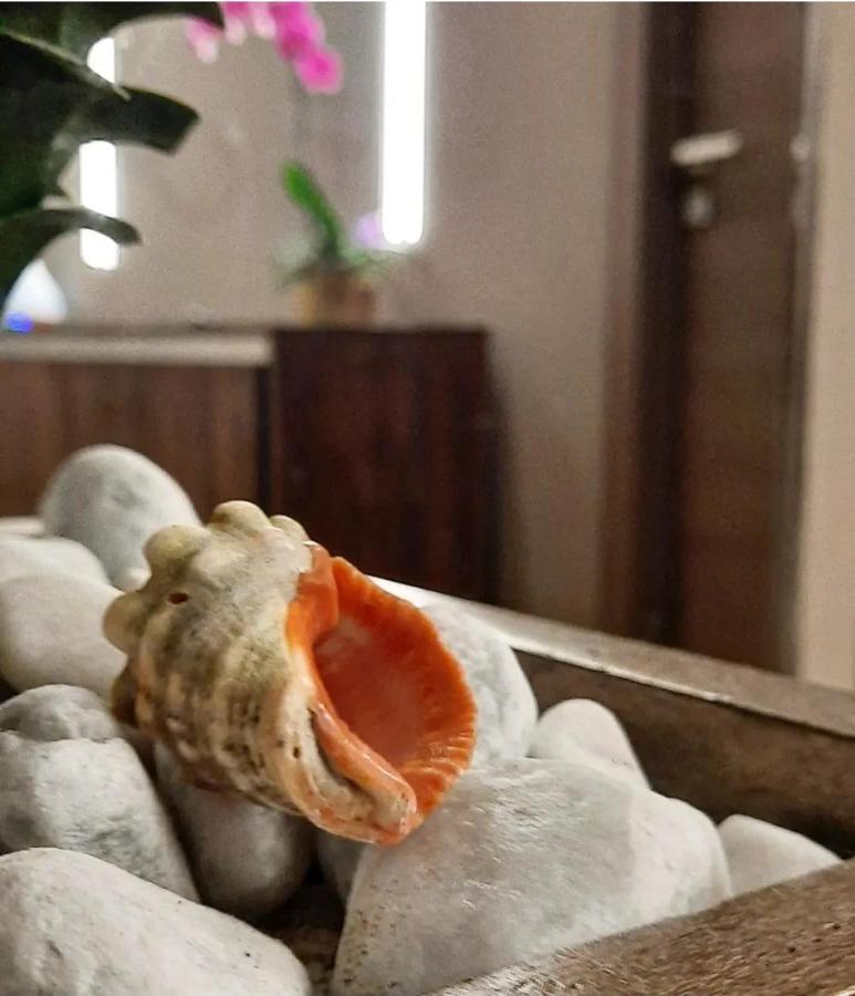 نيتّونو Il Vicolo B&B Giubileo المظهر الخارجي الصورة